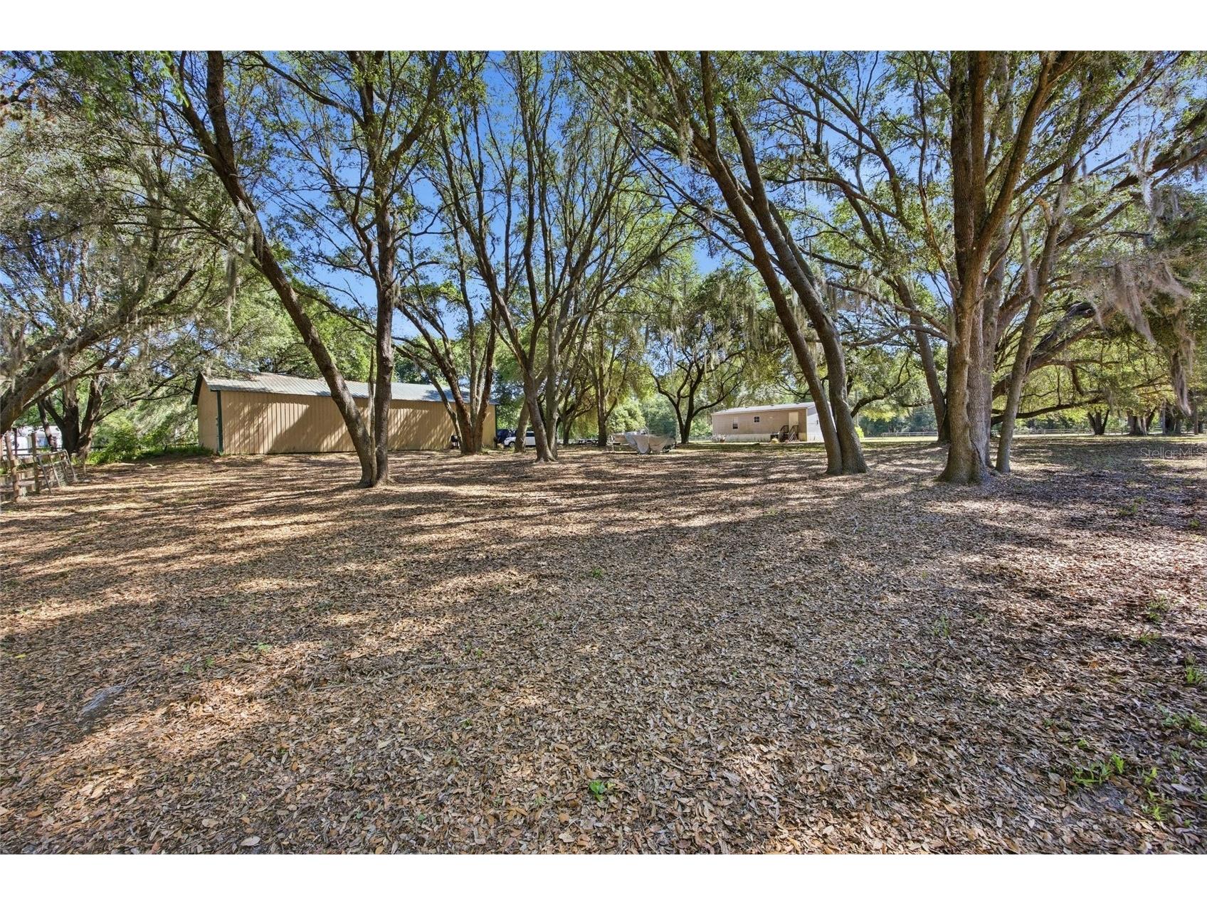 3980 SE 183rd Avenue Road Ocklawaha FL 32179 OM724398 image39
