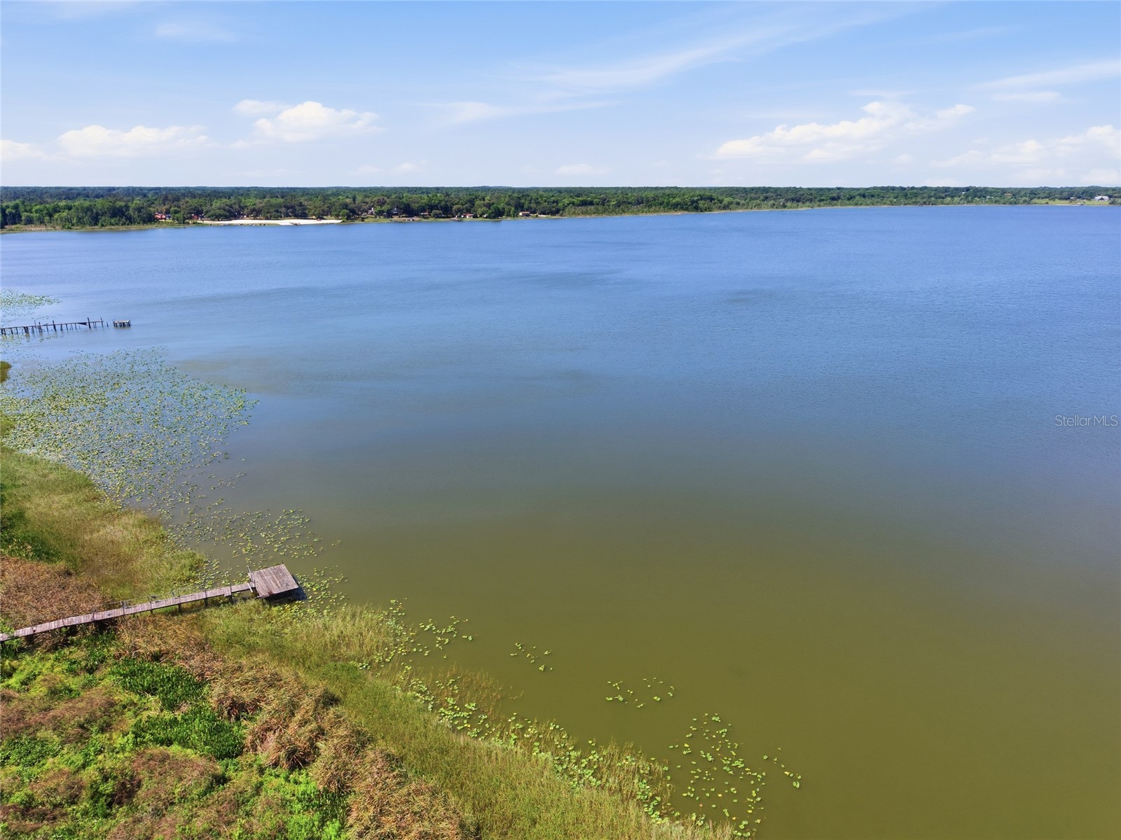 3980 SE 183rd Avenue Road Ocklawaha FL 32179 OM724398 image50