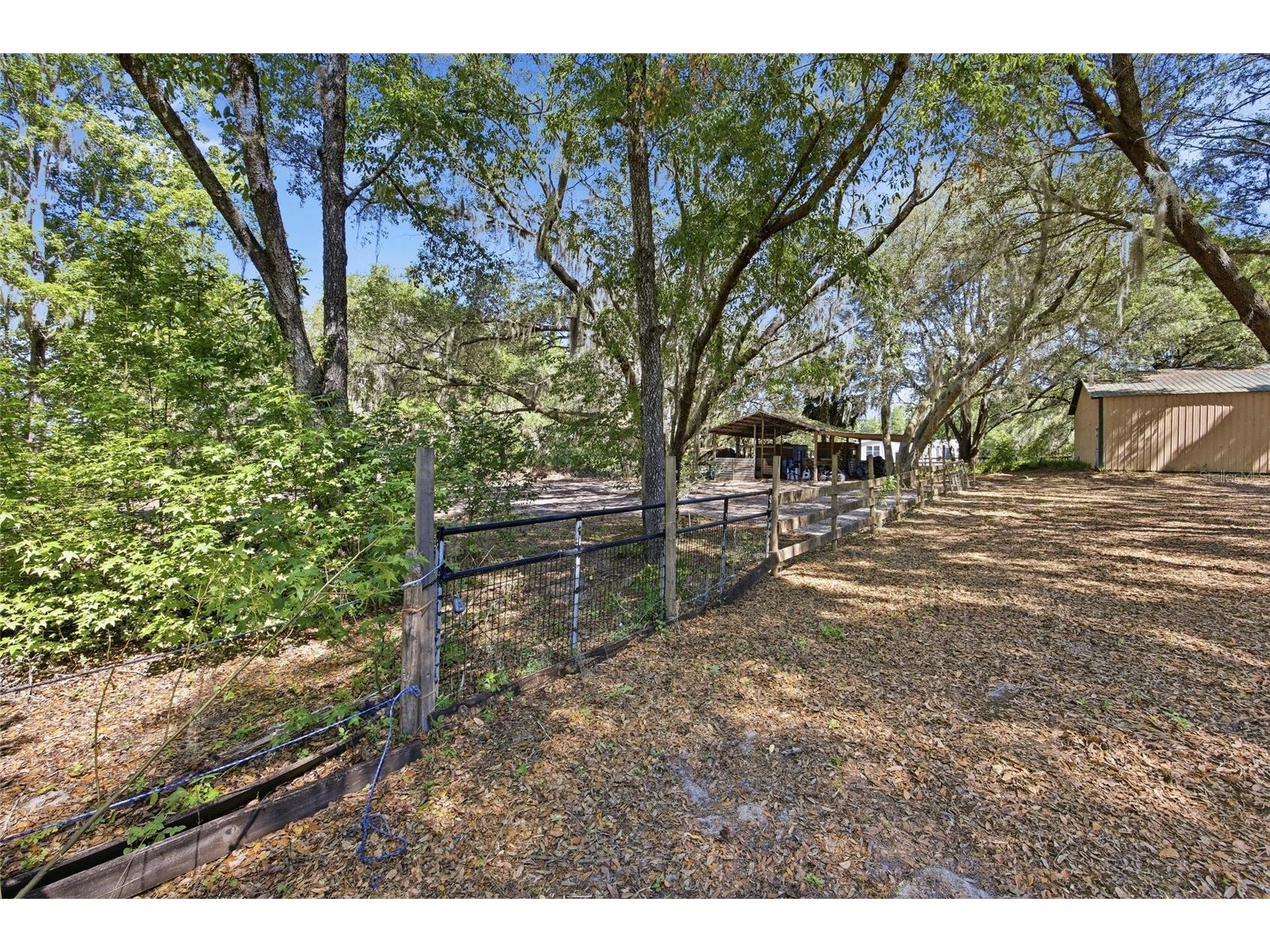 3980 SE 183rd Avenue Road Ocklawaha FL 32179 OM724398 image9