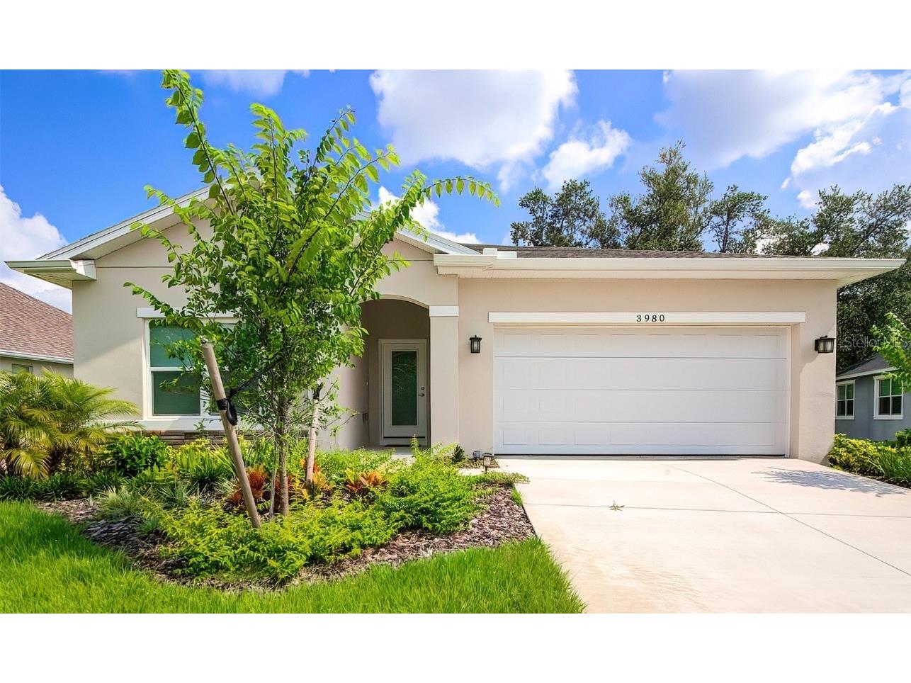 3980 Watson Drive New Port Richey FL 34655 W7855253 image1