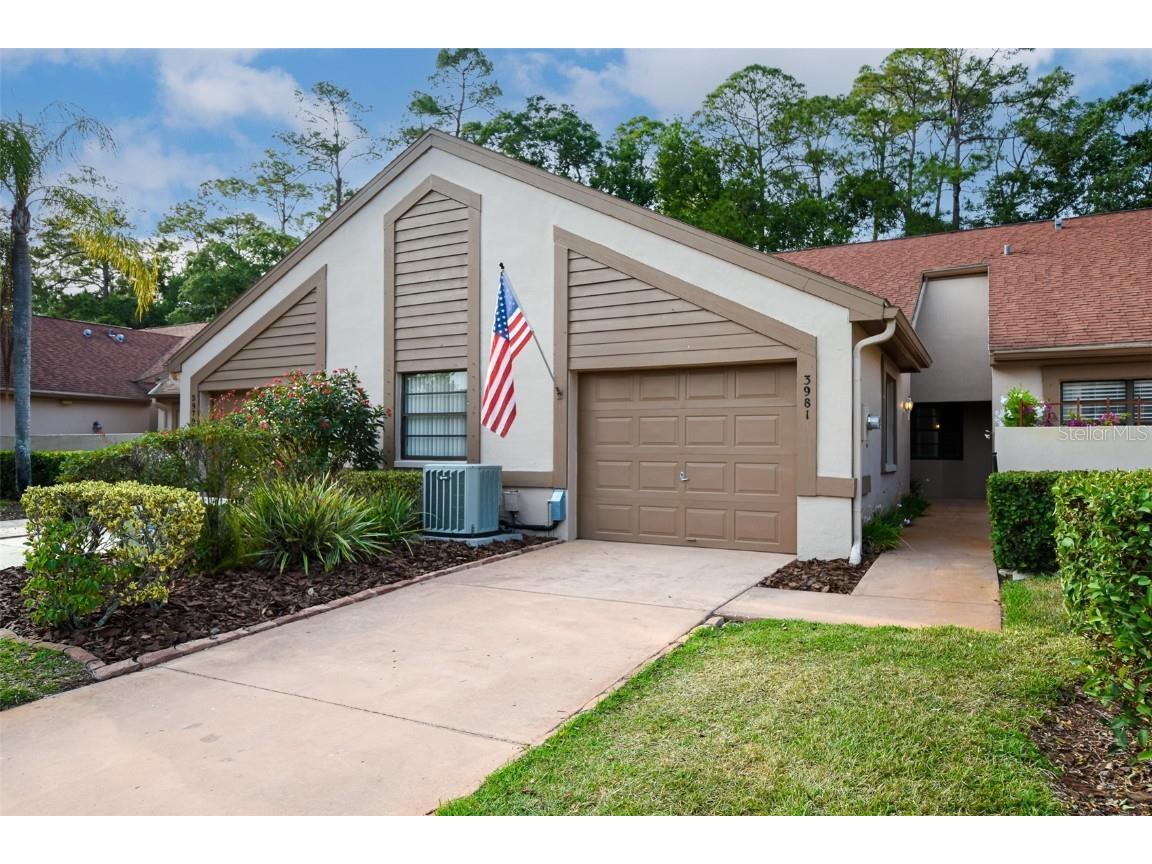 3981 Mermoor Drive Palm Harbor FL 34685 U8197633 image1
