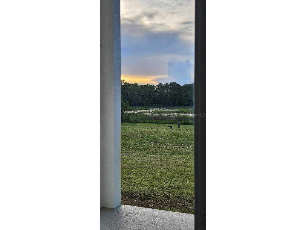 39817 Forest Drive Eustis FL 32736 - SHIMMER LAKE ST. JOHNS RIVER G5100201 image22