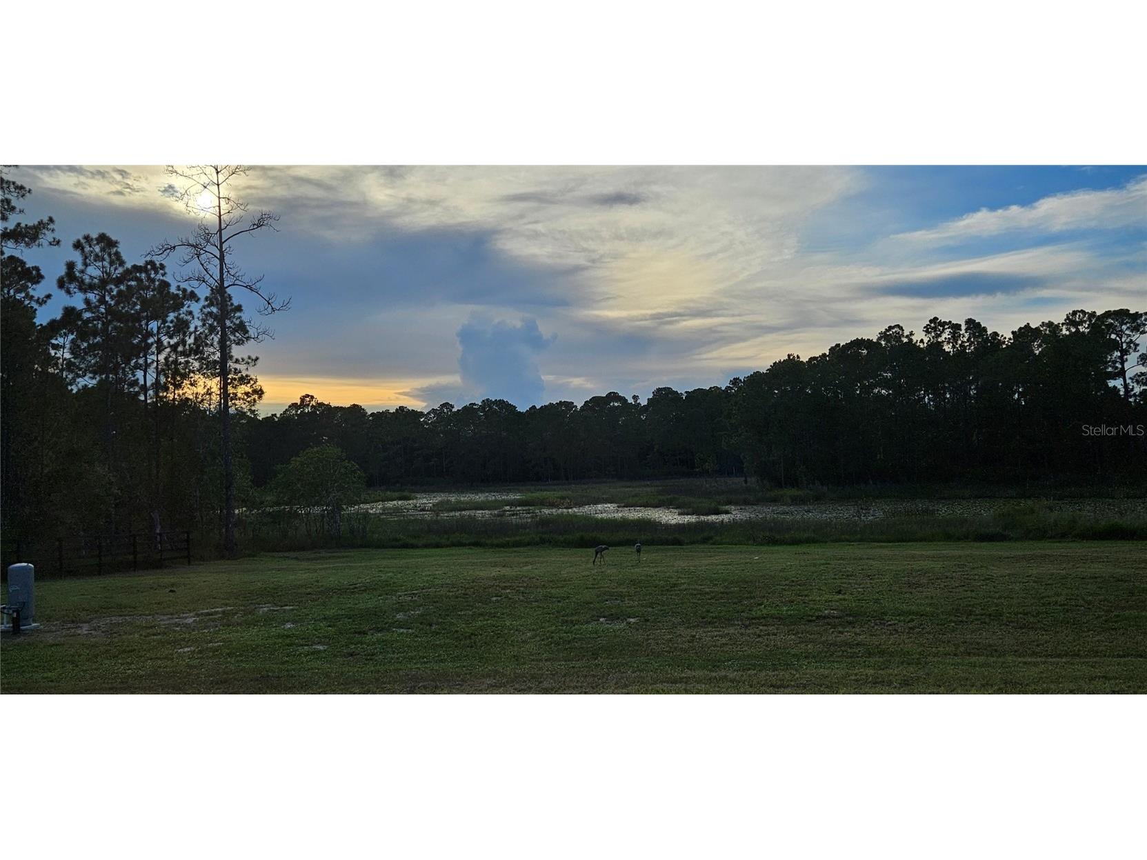 39817 Forest Drive Eustis FL 32736 - SHIMMER LAKE ST. JOHNS RIVER G5100201 image24