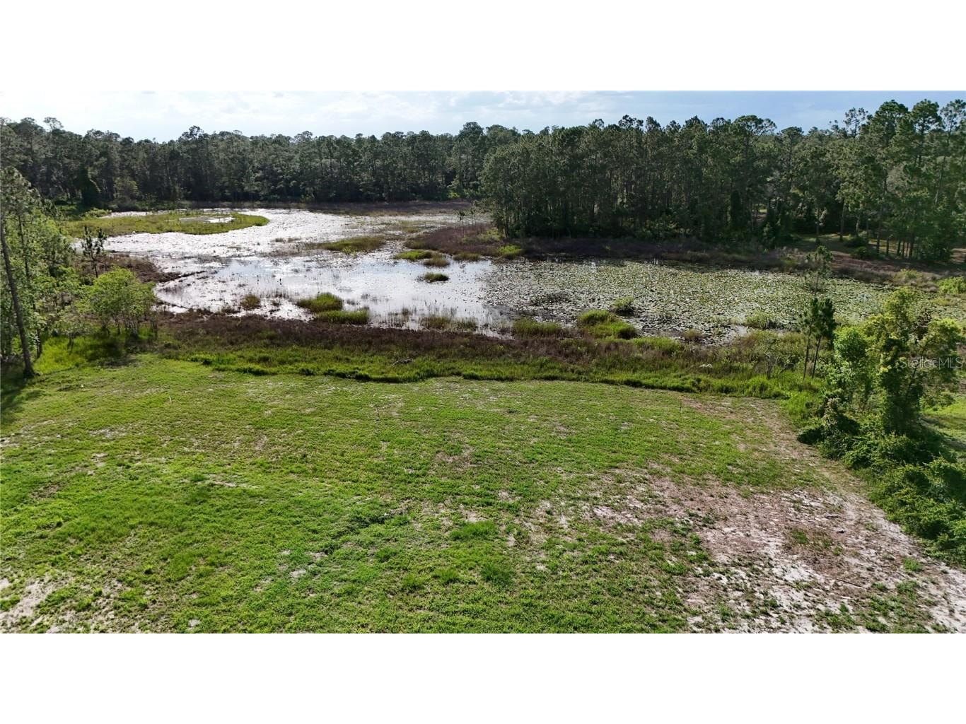 39817 Forest Drive Eustis FL 32736 - SHIMMER LAKE ST. JOHNS RIVER G5100201 image42