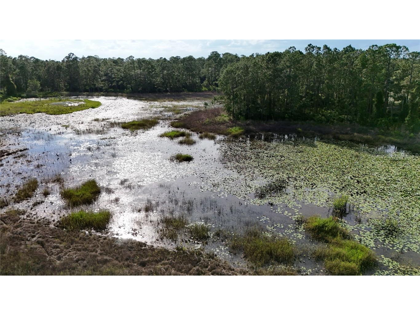 39817 Forest Drive Eustis FL 32736 - SHIMMER LAKE ST. JOHNS RIVER G5100201 image43