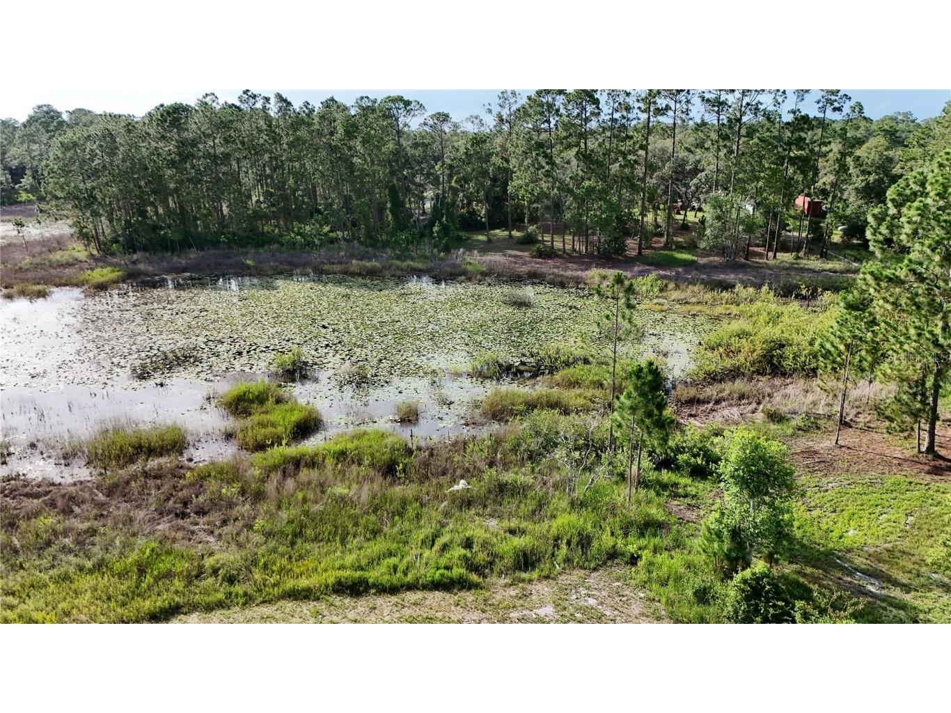 39817 Forest Drive Eustis FL 32736 - SHIMMER LAKE ST. JOHNS RIVER G5100201 image44