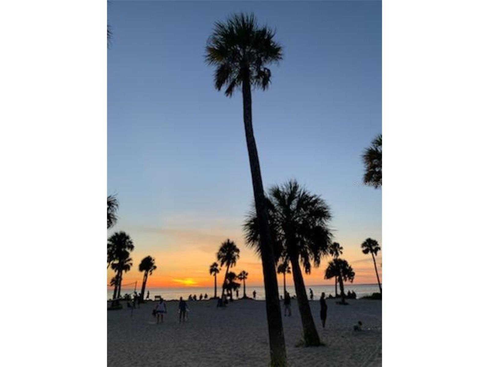39820 Us Highway 19 N #15 Tarpon Springs FL 34689 TB8506551 image100