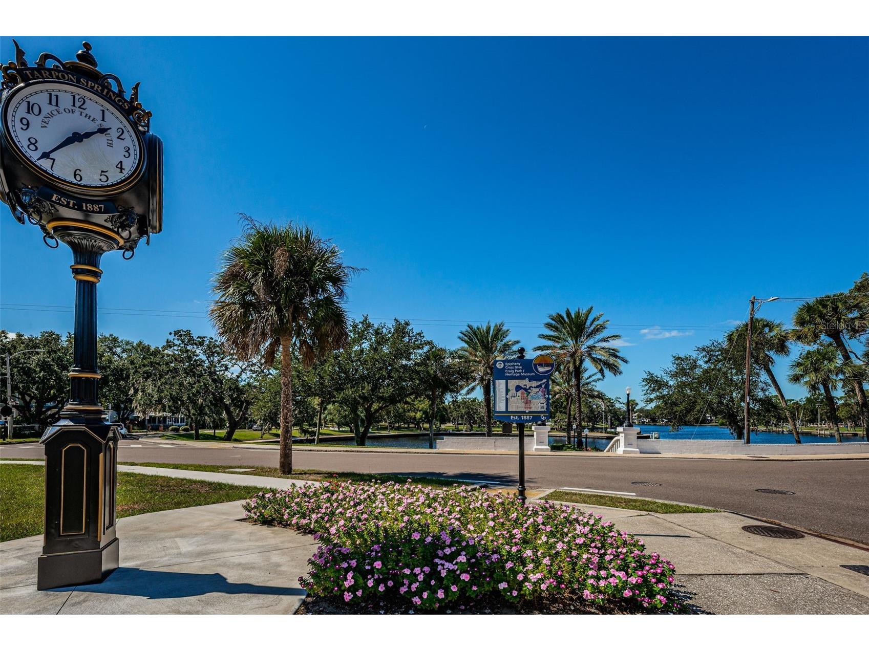 39820 Us Highway 19 N #15 Tarpon Springs FL 34689 TB8506551 image81