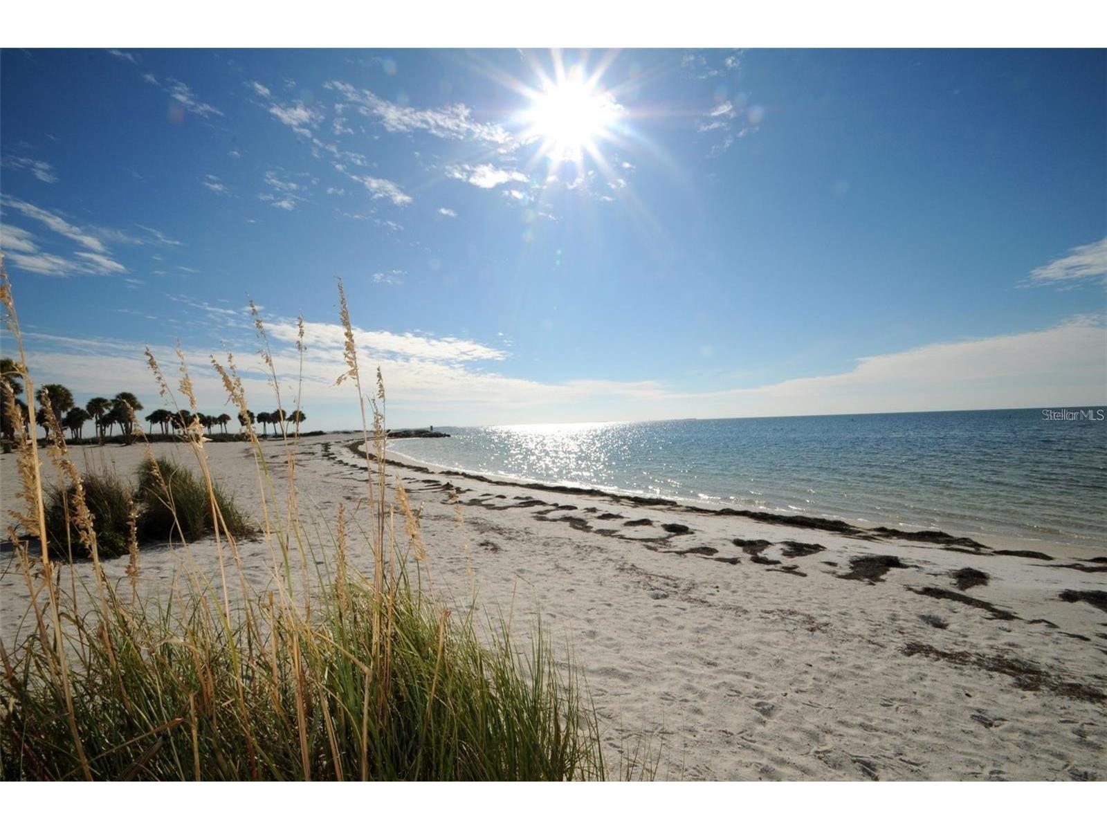 39820 Us Highway 19 N #15 Tarpon Springs FL 34689 TB8506551 image89