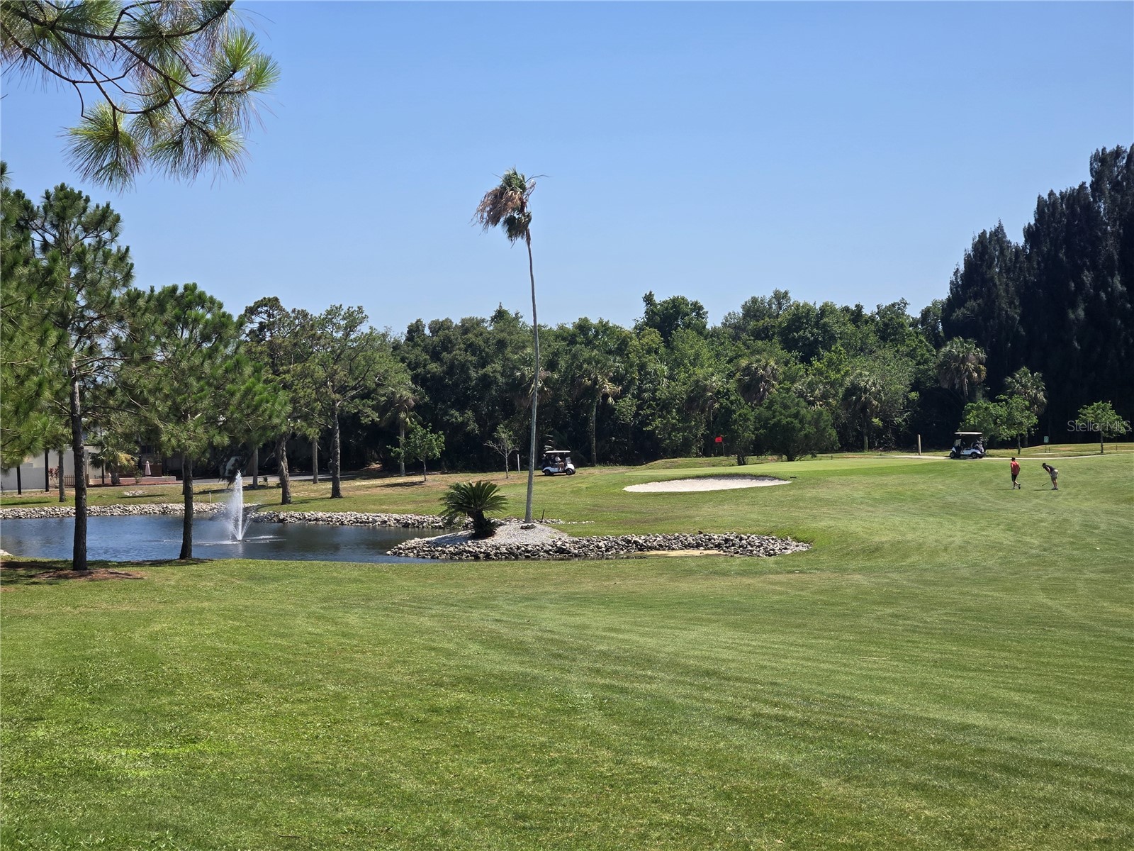 39820 Us Highway 19 N #15 Tarpon Springs FL 34689 TB8506551 image93