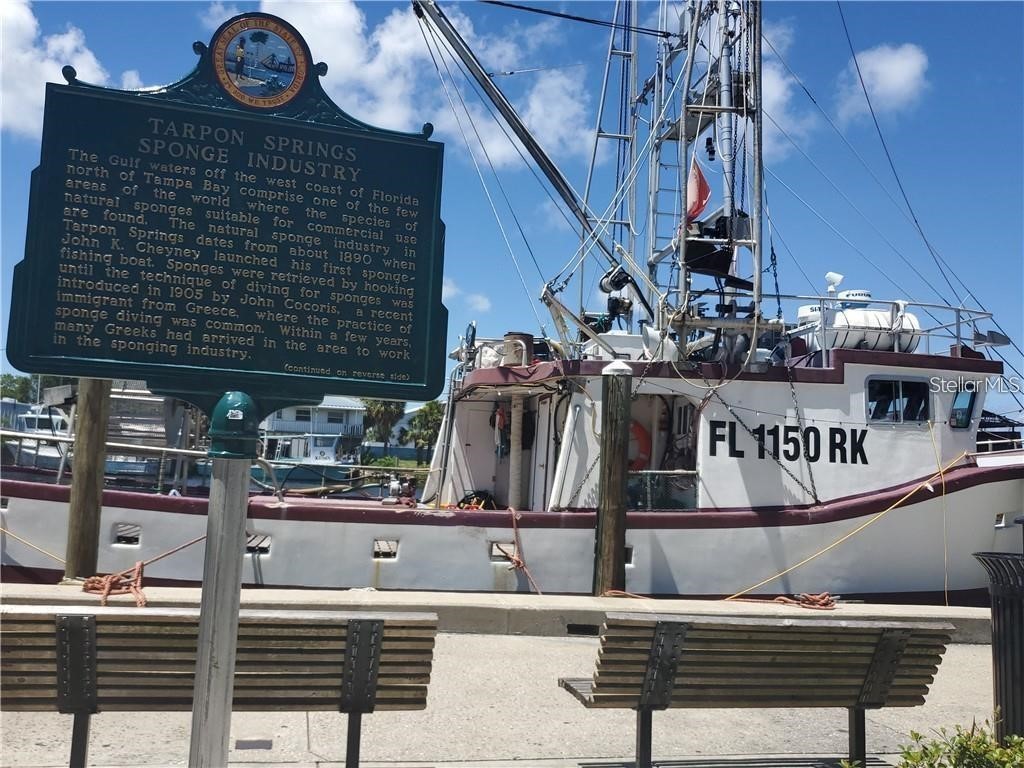 39820 Us Highway 19 N #15 Tarpon Springs FL 34689 TB8506551 image97