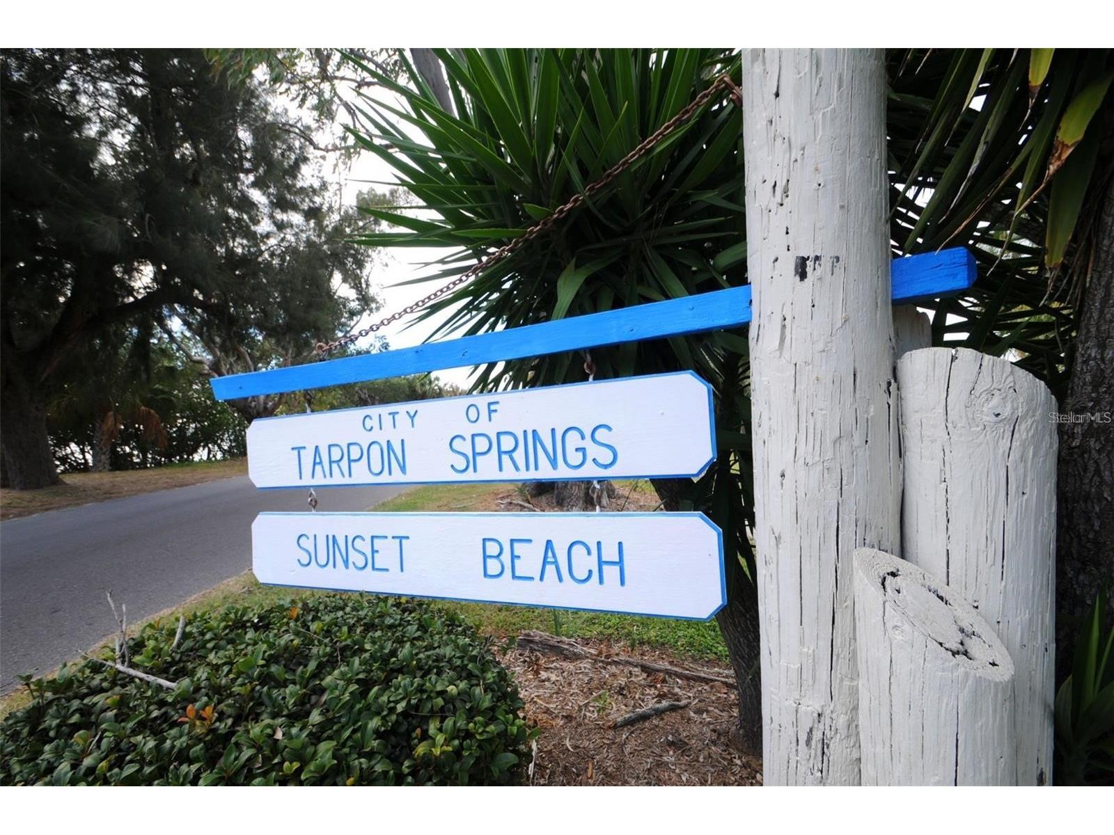 39820 Us Highway 19 N #15 Tarpon Springs FL 34689 TB8506551 image98