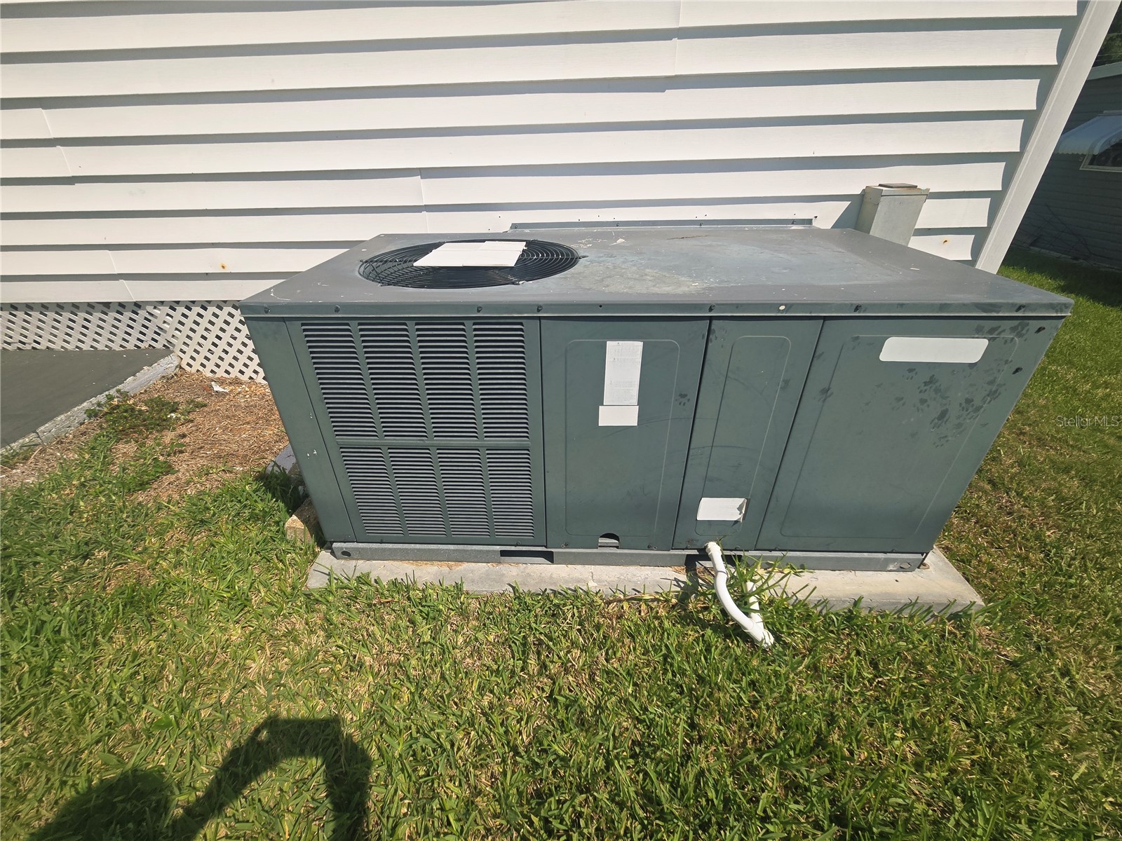 39820 Us Highway 19 N #182 Tarpon Springs FL 34689 TB8491545 image13