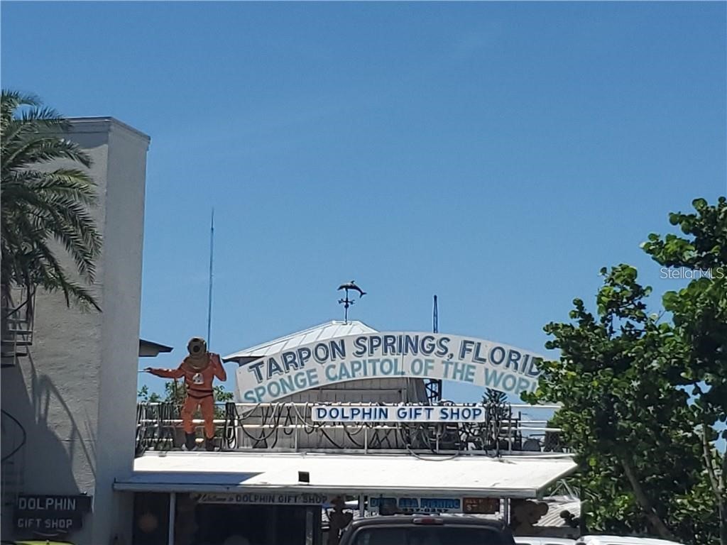 39820 Us Highway 19 N #182 Tarpon Springs FL 34689 TB8491545 image80