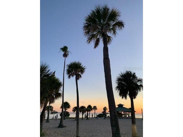 39820 Us Highway 19 N #182 Tarpon Springs FL 34689 TB8491545 image88