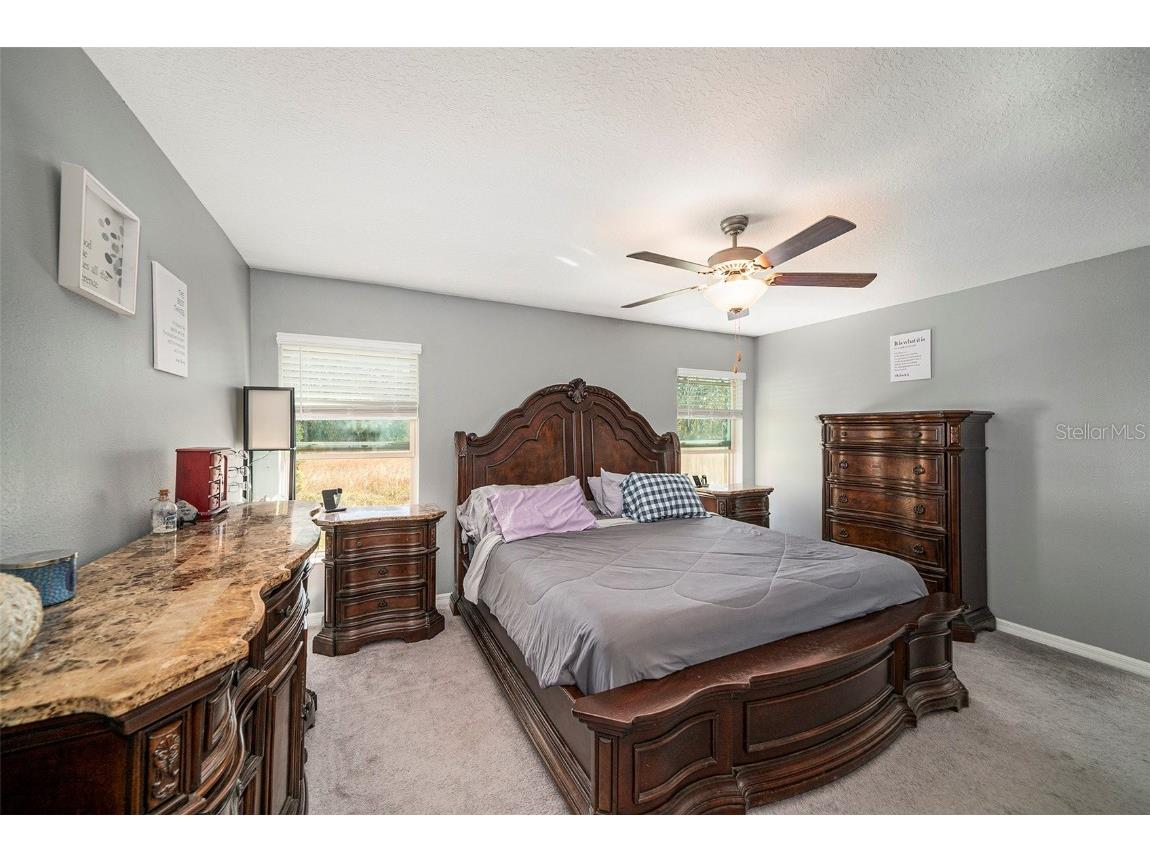 39822 Harmon Grove Court Zephyrhills FL 33540 TB8324010 image13