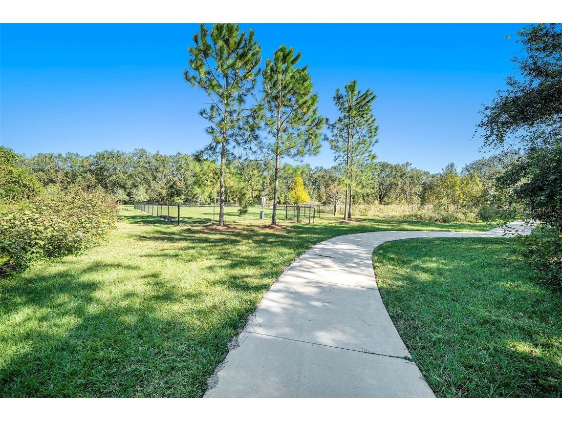 39822 Harmon Grove Court Zephyrhills FL 33540 TB8324010 image22