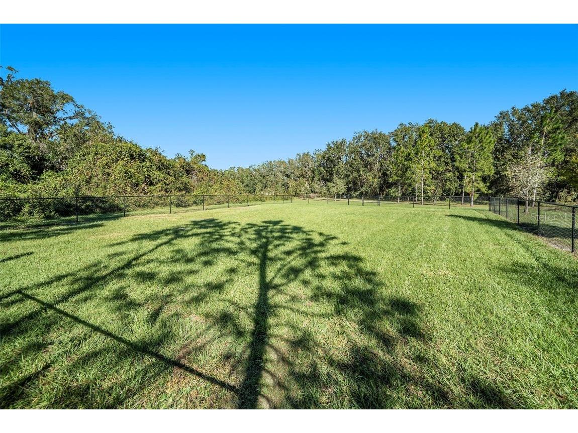 39822 Harmon Grove Court Zephyrhills FL 33540 TB8324010 image23