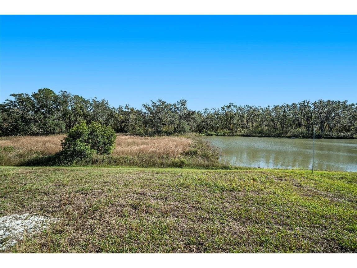 39822 Harmon Grove Court Zephyrhills FL 33540 TB8324010 image24