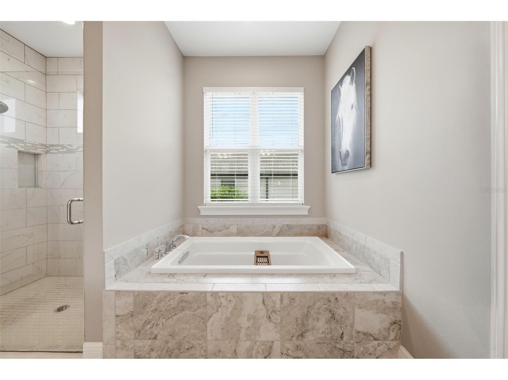 3983 SE 5th Avenue Ocala FL 34480 OM726095 image19