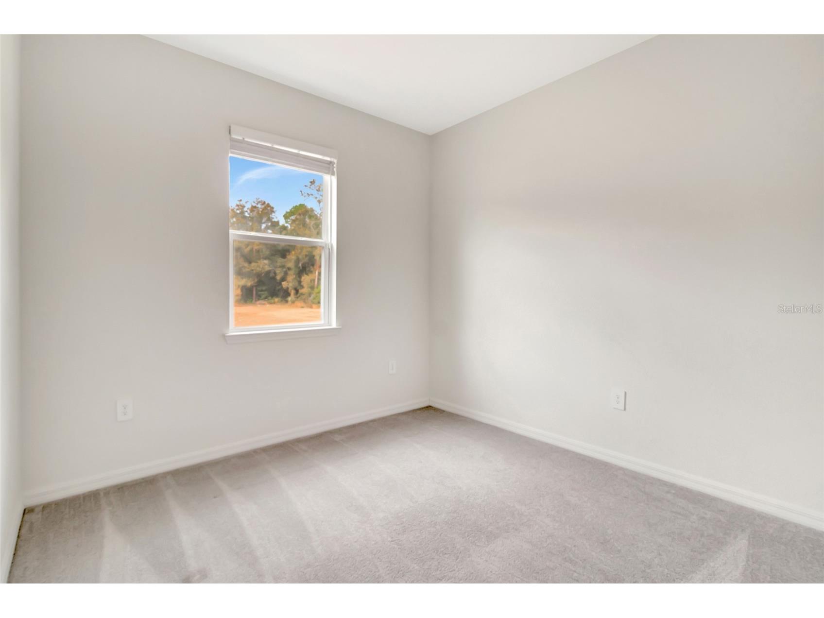 3984 Mayhill Loop Eustis FL 32736 G5107712 image8