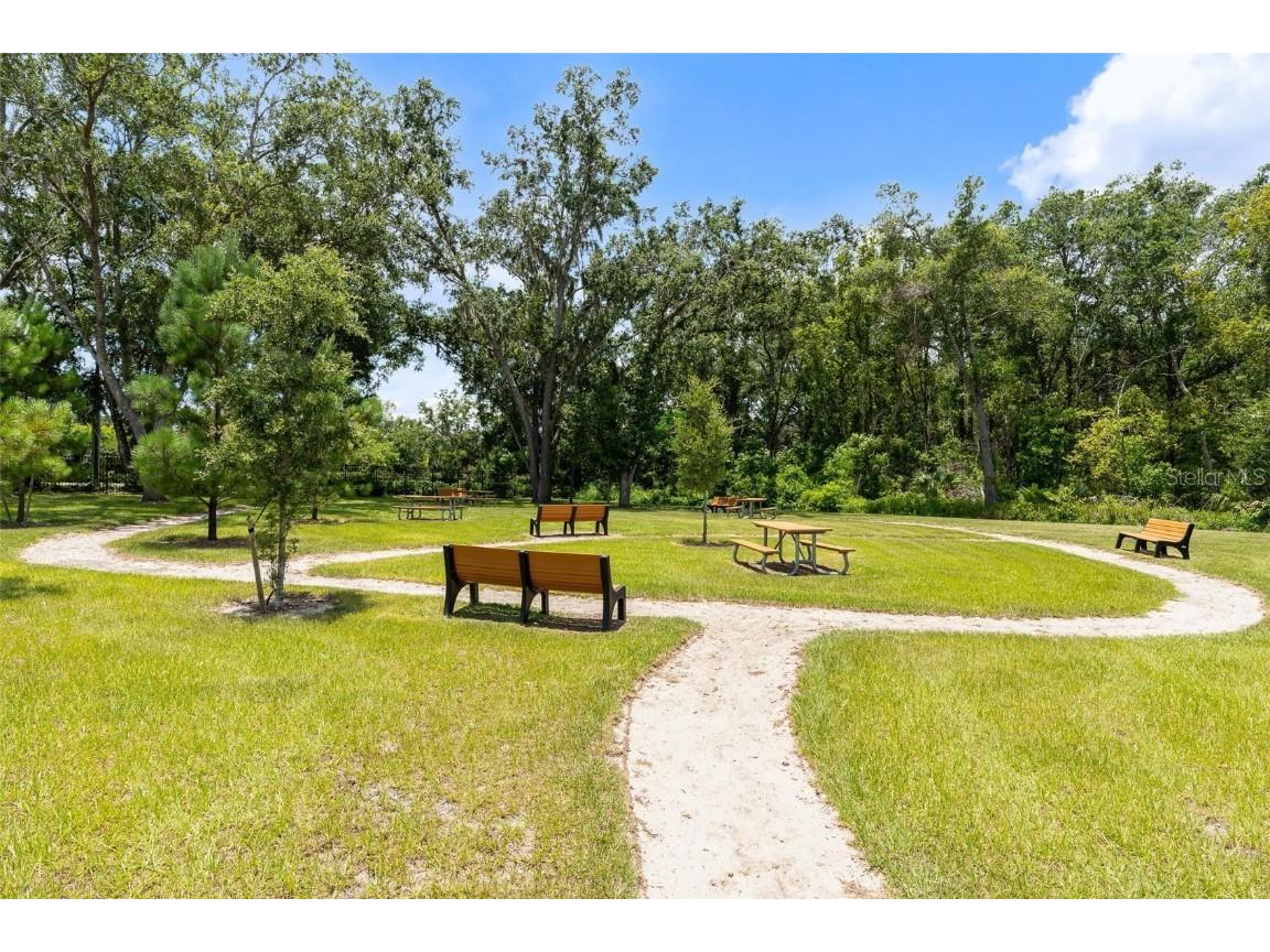 3984 Mayhill Loop Eustis FL 32736 O6322049 image25