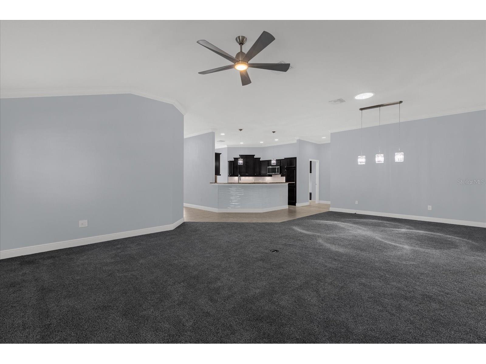 3984 Mcdowell Drive The Villages FL 32163 G5110543 image12