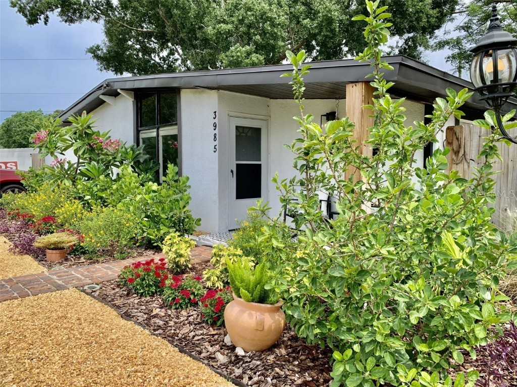 3985 Neptune Drive SE Saint Petersburg FL 33705 T3449376 image1