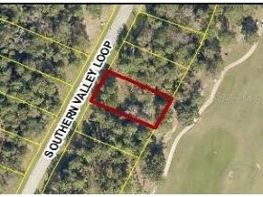 3985 Southern Valley Loop Brooksville FL 34601 U8234761 image1