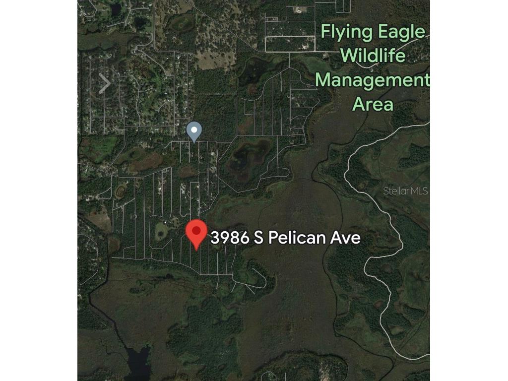 3986 S Pelican Avenue Inverness FL 34450 T3488607 image10