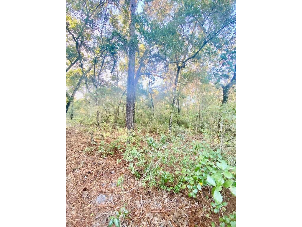 3986 S Pelican Avenue Inverness FL 34450 T3488607 image2