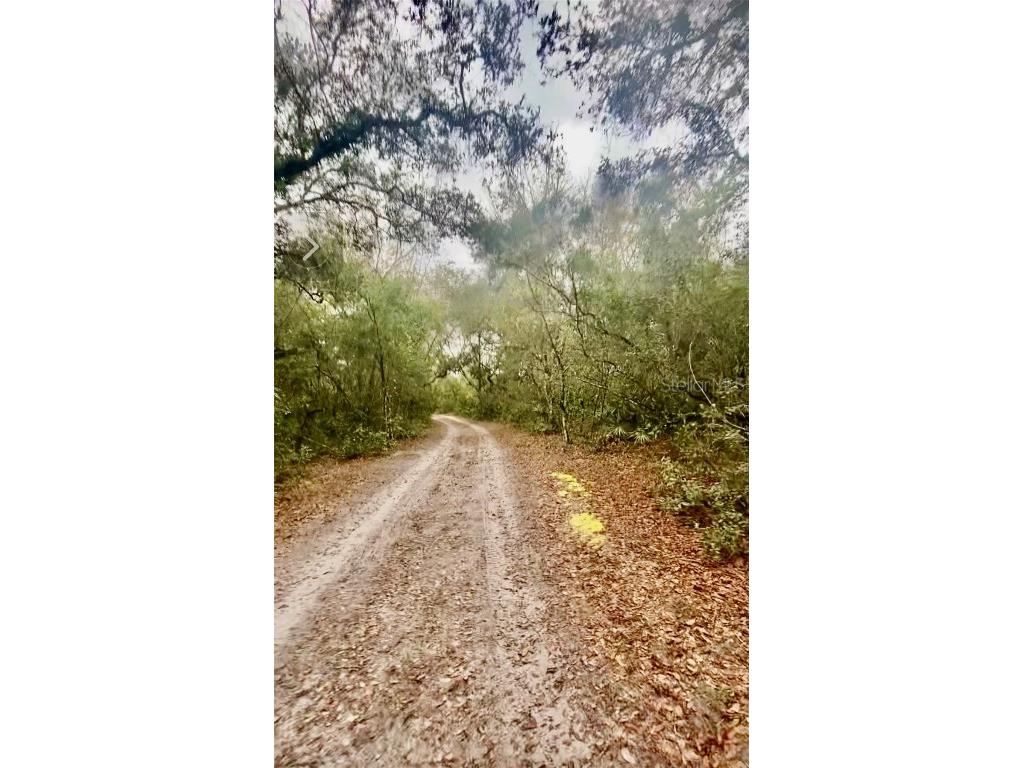 3986 S Pelican Avenue Inverness FL 34450 T3488607 image3