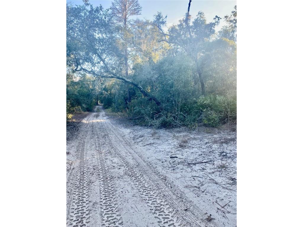 3986 S Pelican Avenue Inverness FL 34450 T3488607 image4