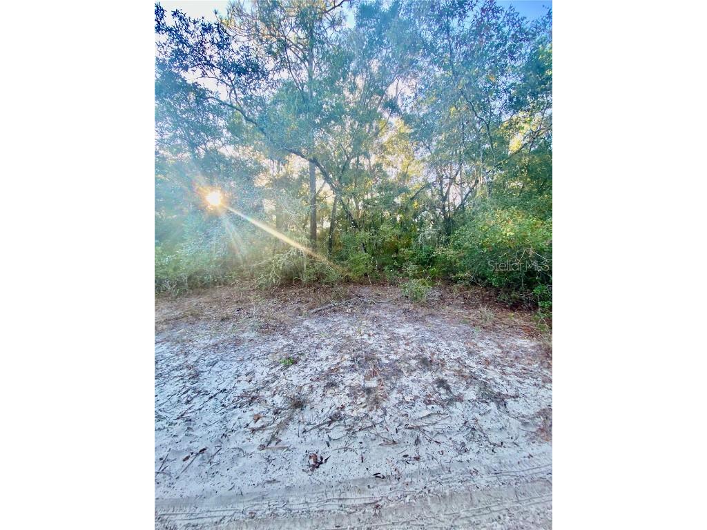 3986 S Pelican Avenue Inverness FL 34450 T3488607 image5