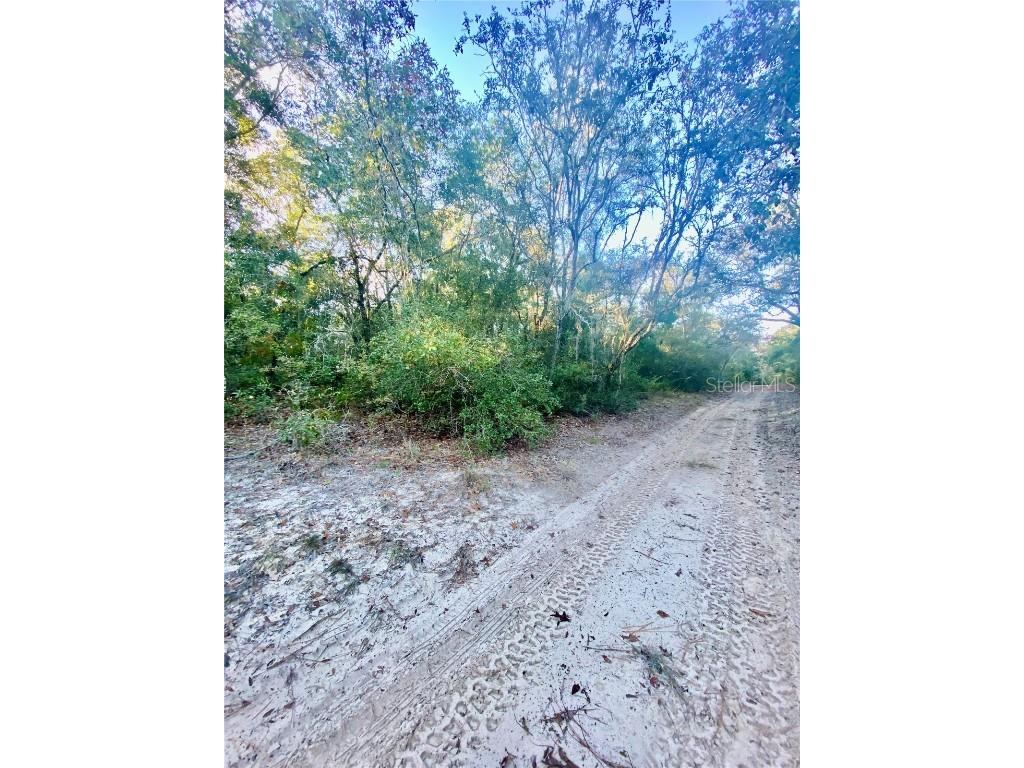 3986 S Pelican Avenue Inverness FL 34450 T3488607 image6