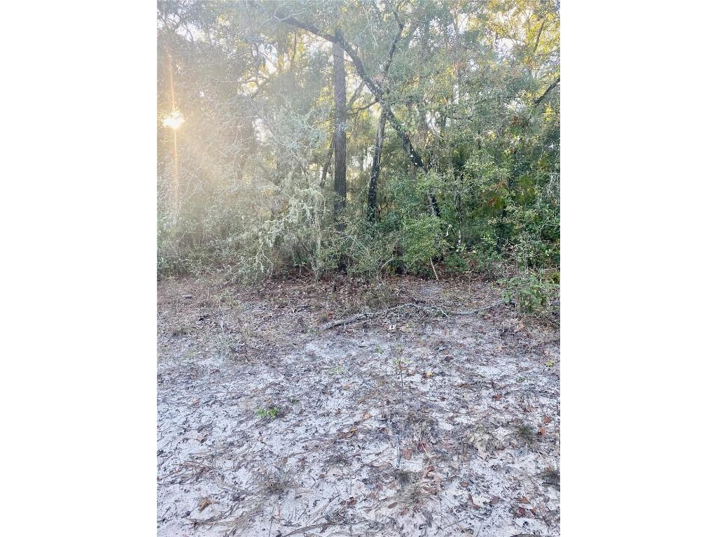 3986 S Pelican Avenue Inverness FL 34450 T3488607 image7