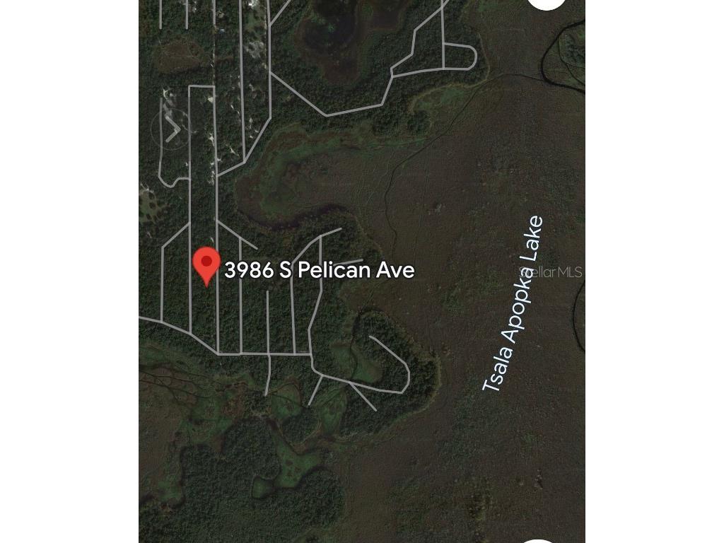 3986 S Pelican Avenue Inverness FL 34450 T3488607 image9