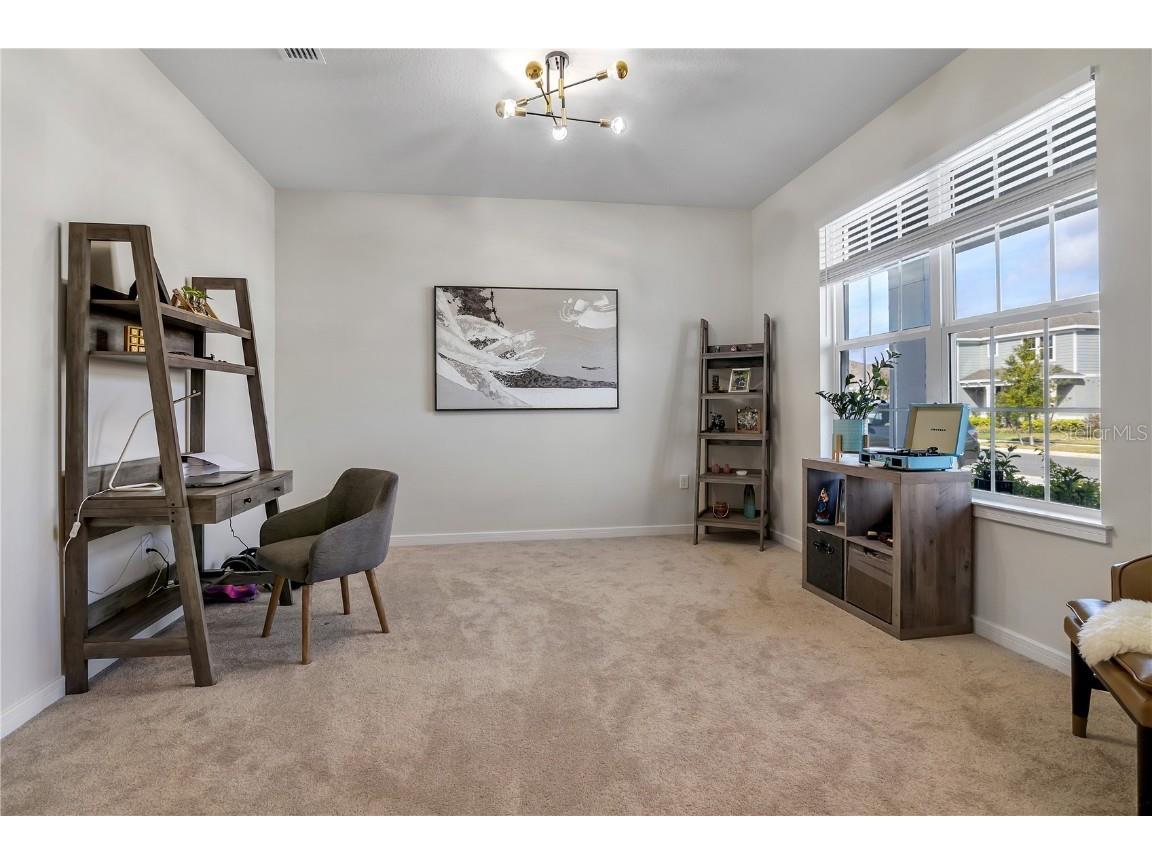 3987 Meandering Bay Dr Apopka FL 32712 S5121134 image10