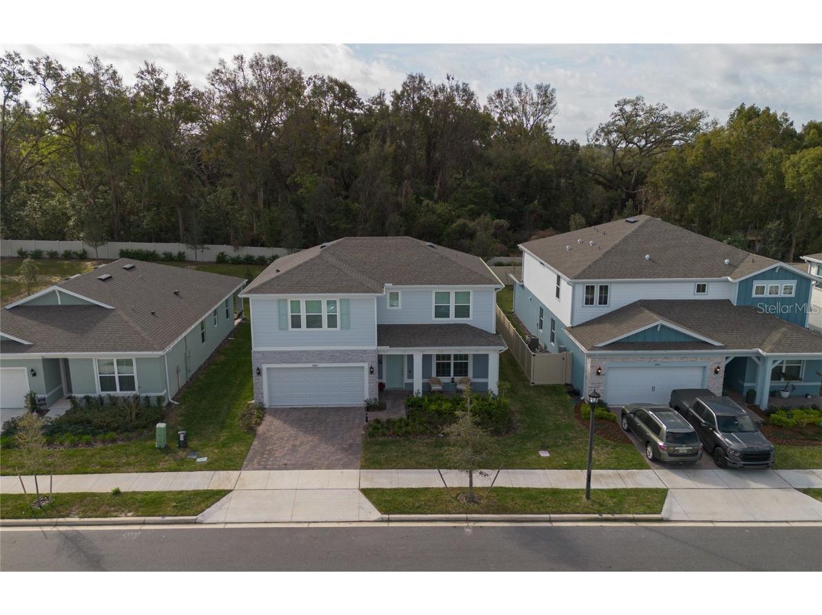 3987 Meandering Bay Dr Apopka FL 32712 S5121134 image43