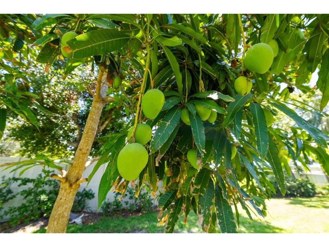 3988 Berlin Drive Sarasota FL 34233 A4653554 image56