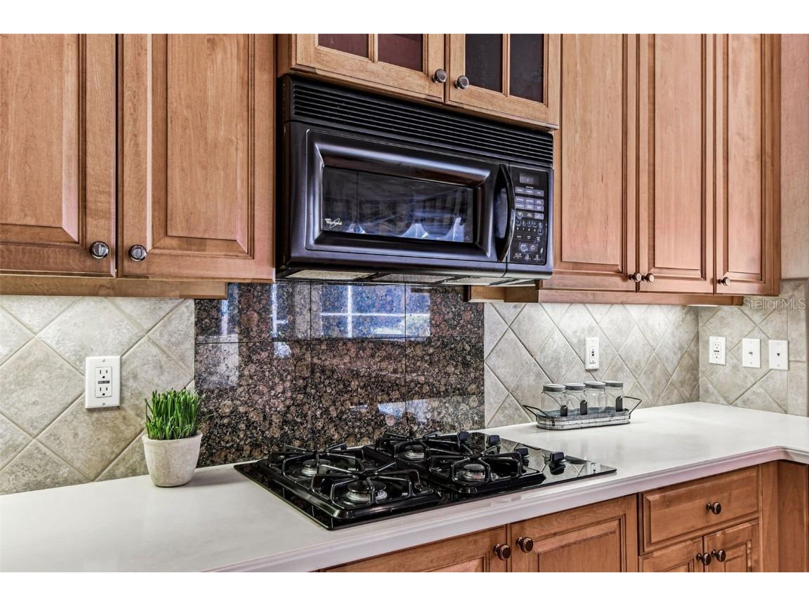 3988 Mimosa Place Palm Harbor FL 34685 - LAKE TARPON TB8448645 image17