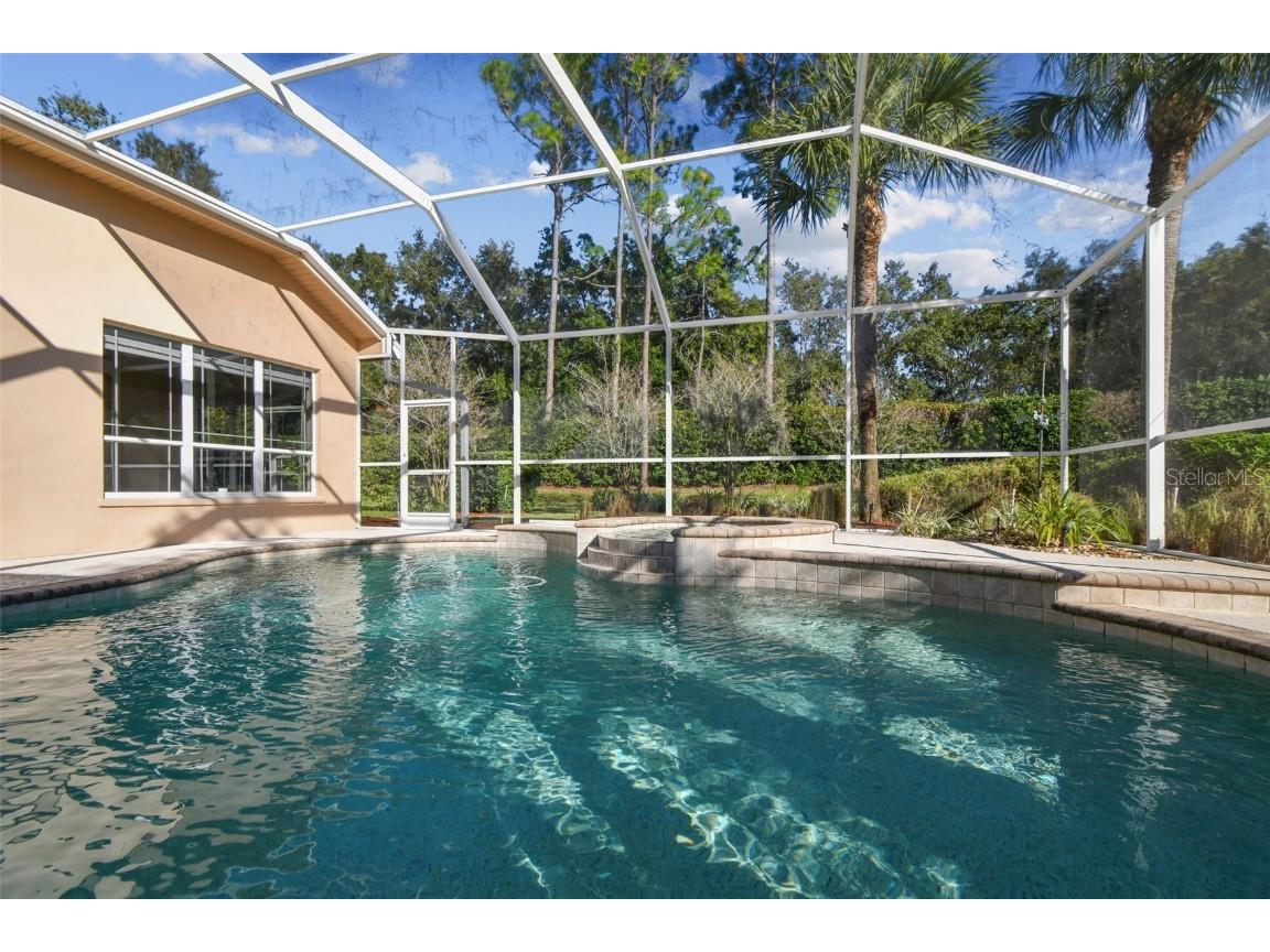 3988 Mimosa Place Palm Harbor FL 34685 - LAKE TARPON TB8448645 image3
