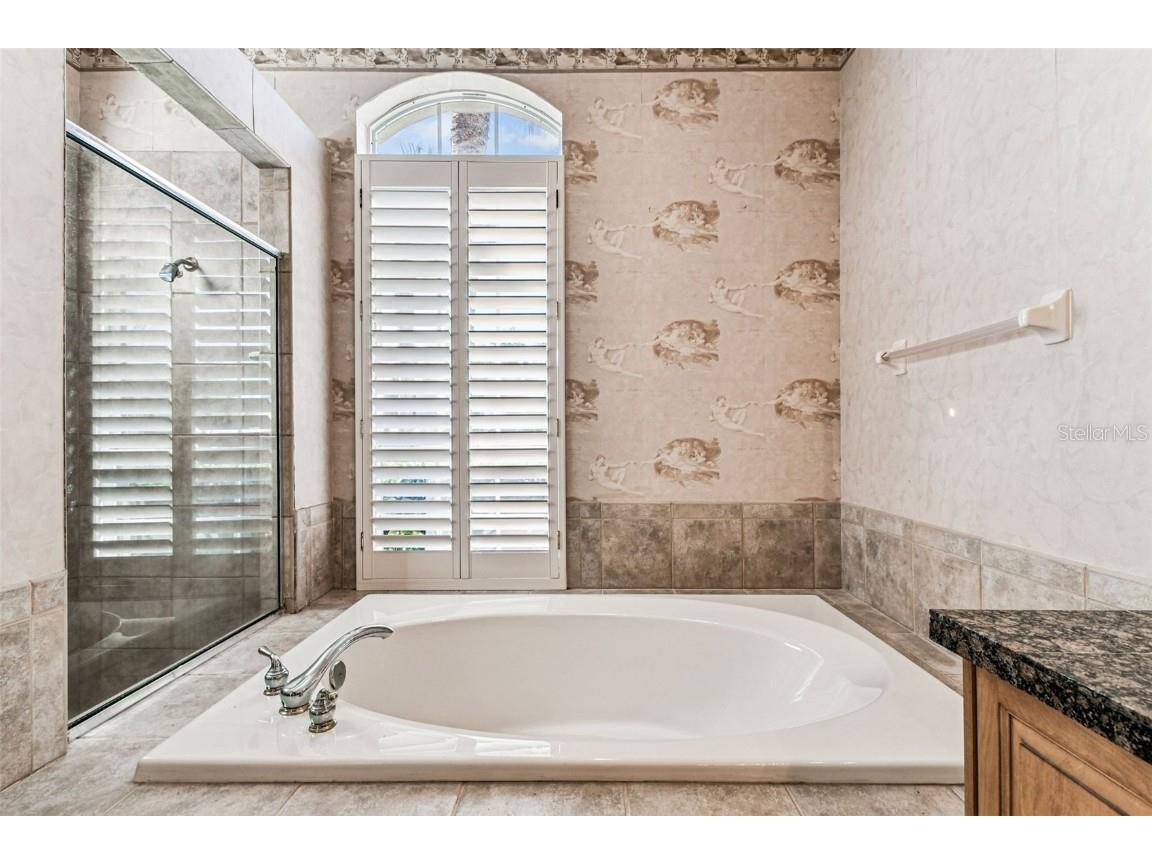 3988 Mimosa Place Palm Harbor FL 34685 - LAKE TARPON TB8448645 image39