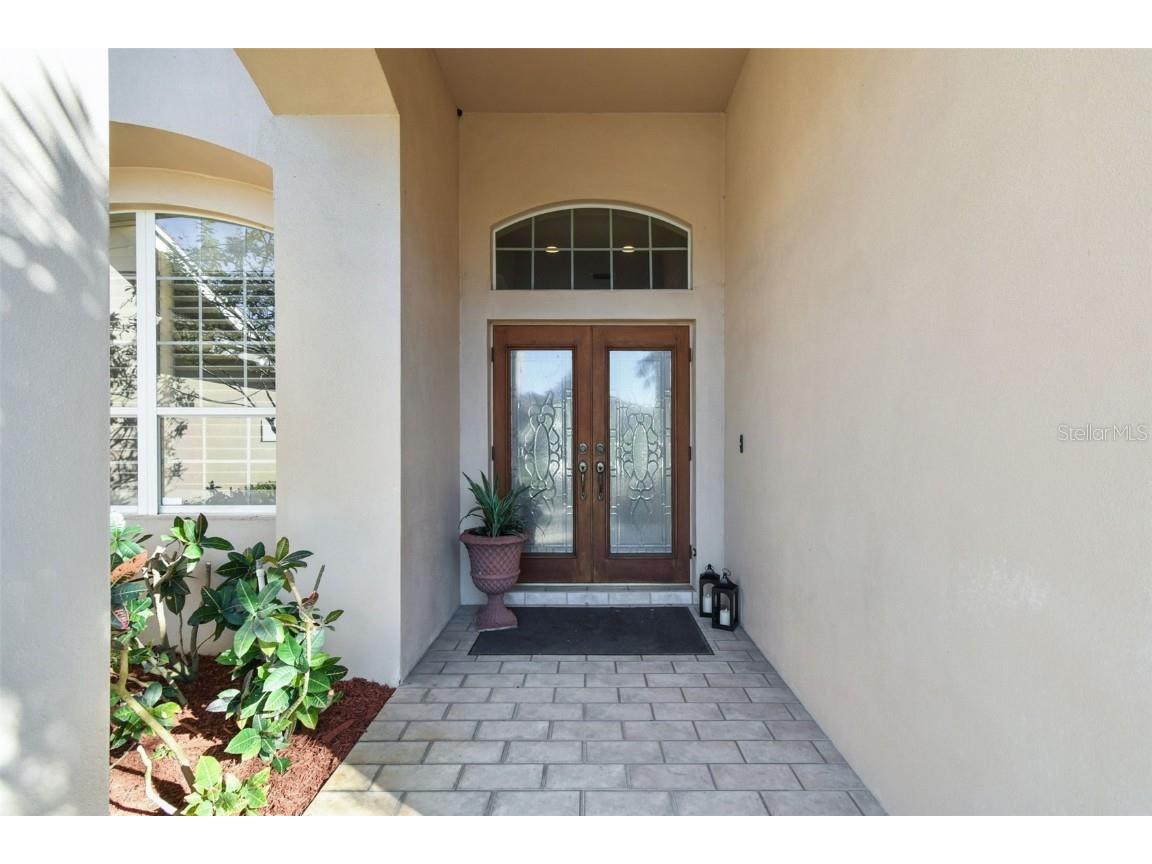 3988 Mimosa Place Palm Harbor FL 34685 - LAKE TARPON TB8448645 image4