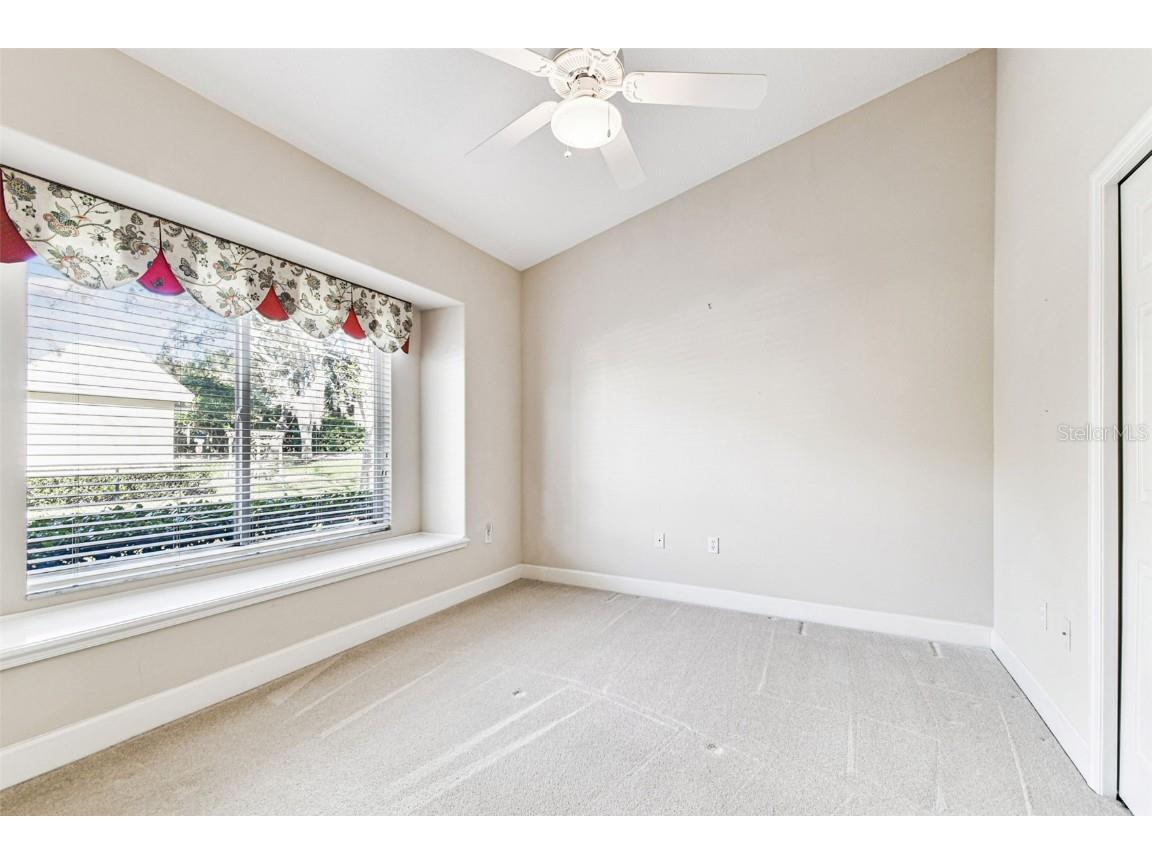 3988 Mimosa Place Palm Harbor FL 34685 - LAKE TARPON TB8448645 image53