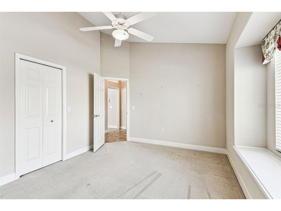 3988 Mimosa Place Palm Harbor FL 34685 - LAKE TARPON TB8448645 image54