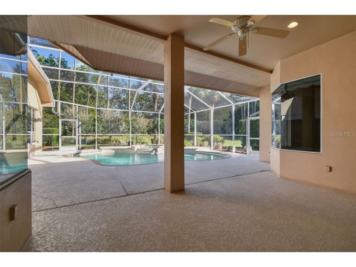 3988 Mimosa Place Palm Harbor FL 34685 - LAKE TARPON TB8448645 image63