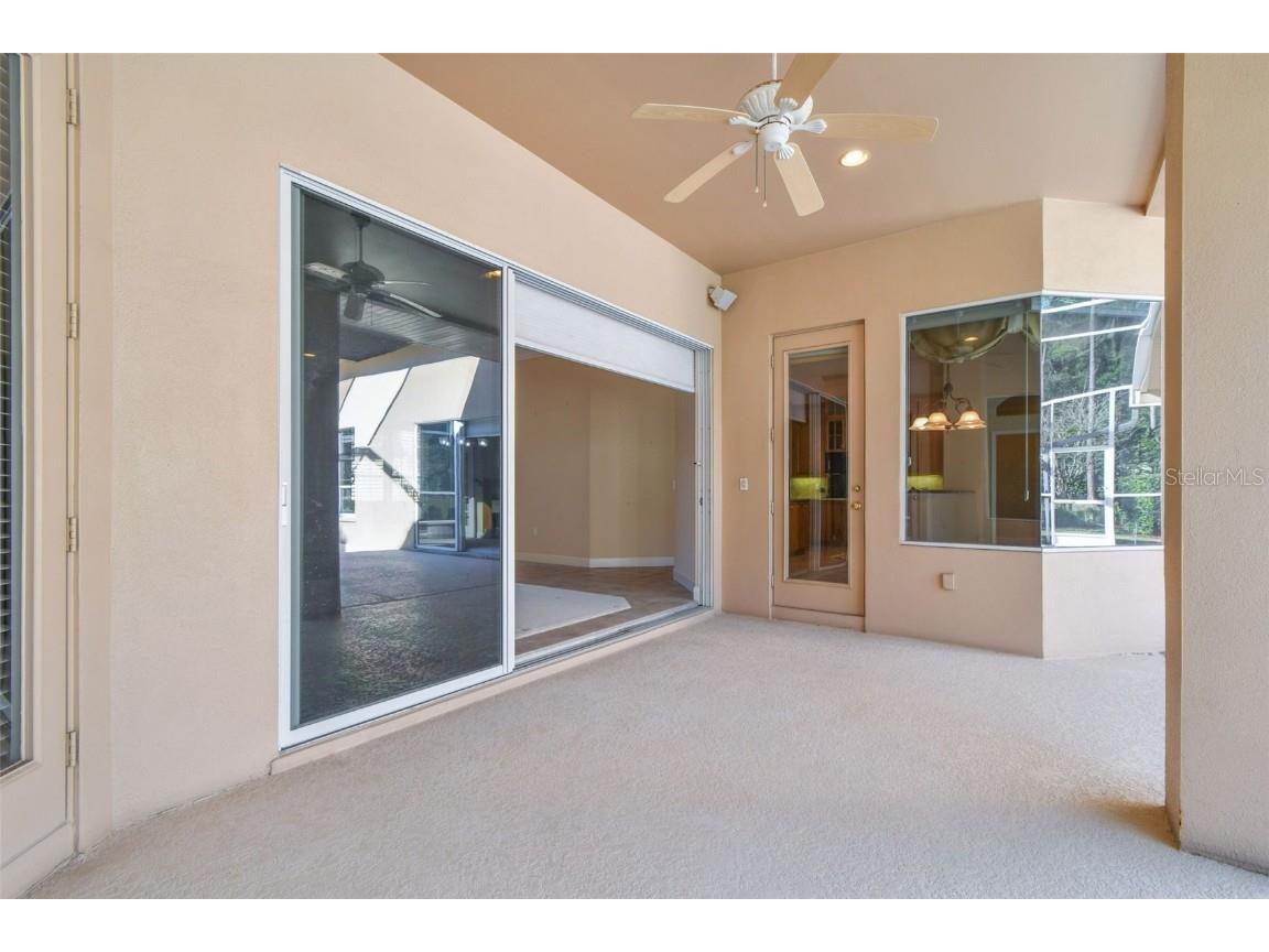 3988 Mimosa Place Palm Harbor FL 34685 - LAKE TARPON TB8448645 image66