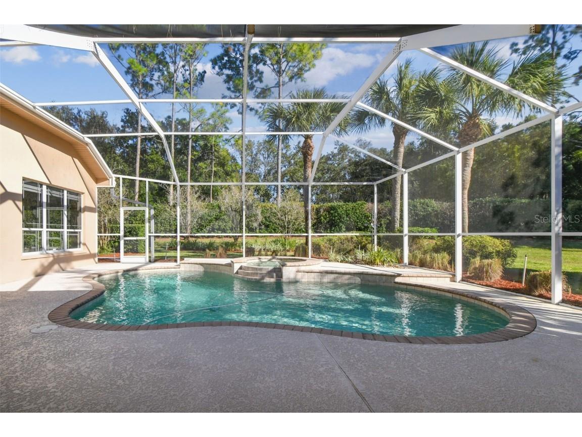 3988 Mimosa Place Palm Harbor FL 34685 - LAKE TARPON TB8448645 image67