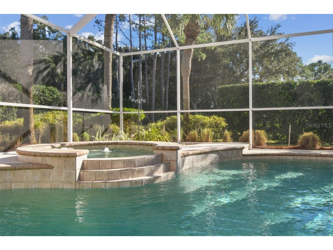 3988 Mimosa Place Palm Harbor FL 34685 - LAKE TARPON TB8448645 image71